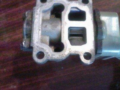 горячий-ток на открытие.jpg