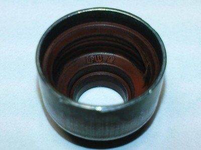 Колпачок 1.JPG