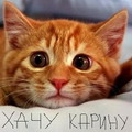 Аватара пользователя