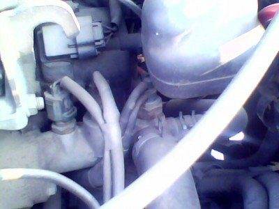 IMG0030A.jpg