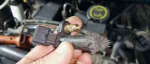 Скриншот 03-02-2025 220246.jpg