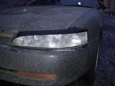 реснички3.jpg