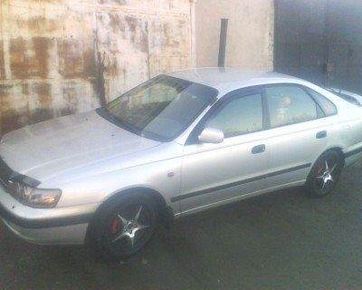 img162.jpg
