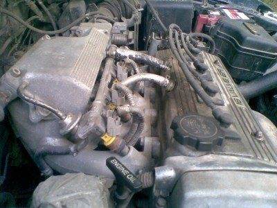 t_18052008001_884.jpg