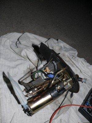 P1220353_новый размер.JPG