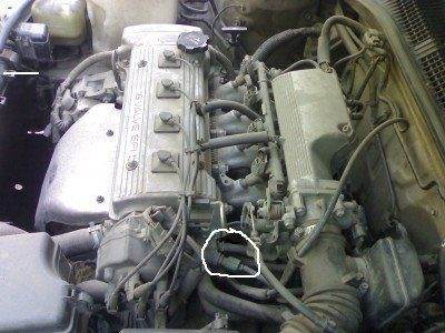 t_350_763.jpg