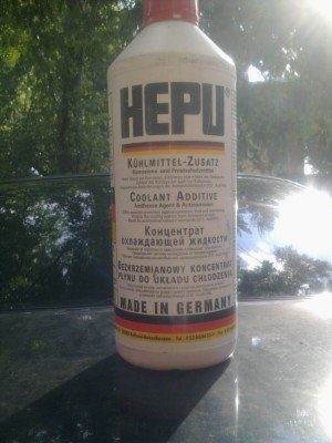 ож1.jpg
