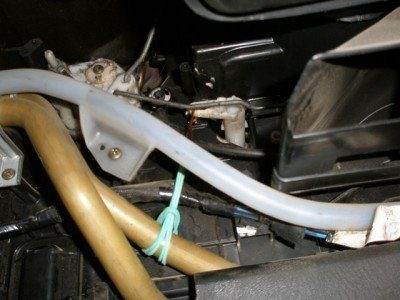 Моской бриз.JPG