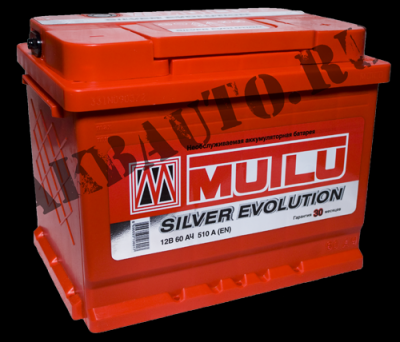 mutlu_evolution60_big1r.png
