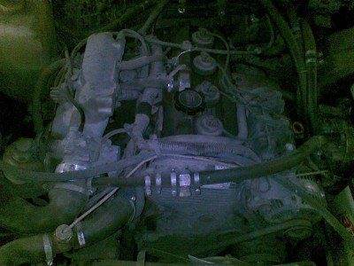21112010(009).jpg
