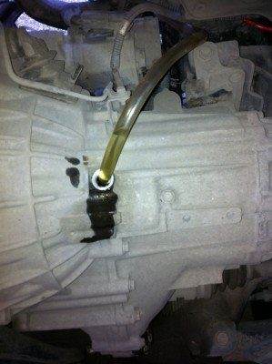 Изображение 004.jpg