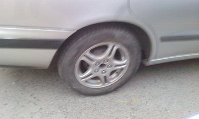 IMAG0127.jpg