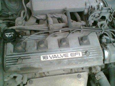 Image(081).jpg