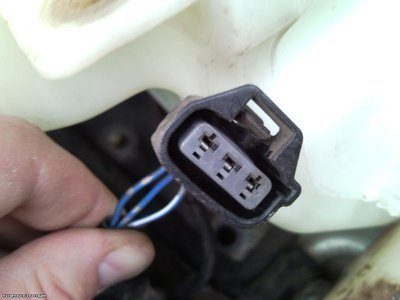 2ac6027b55cbb6483947e556b814aff8.jpg