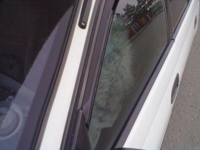 17102011376.jpg