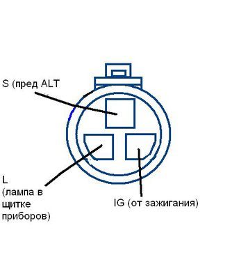 Фишка гены.JPG