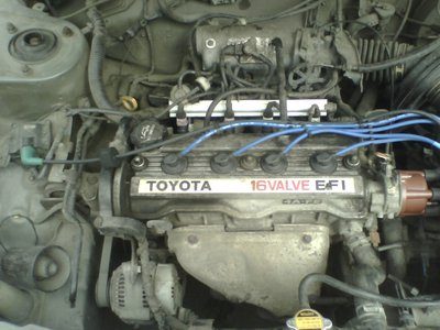 154808 20100614.jpg