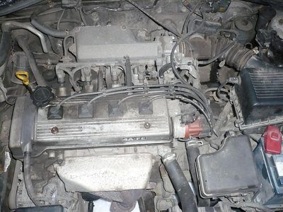 P1020128.JPG