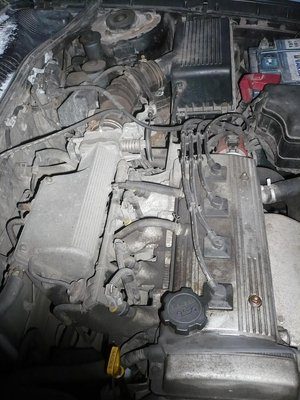 P1020129.JPG