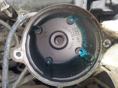 20120406_121613.jpeg