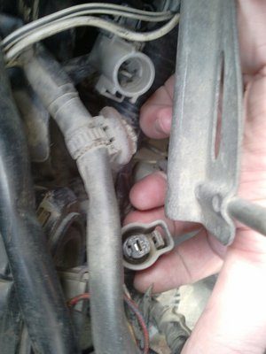 2012-04-15 14.06.45.jpg