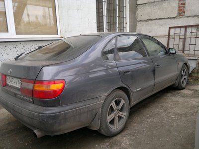 25042012196.jpg