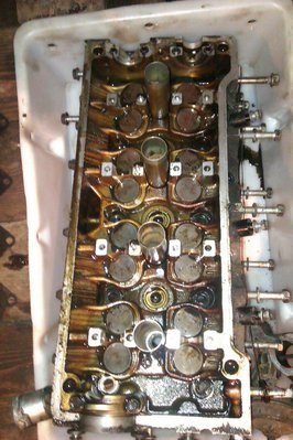 IMAG0055.jpg