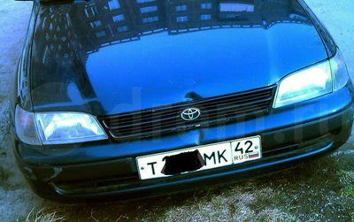 bumper.jpg