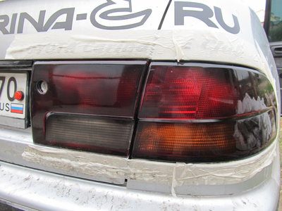 IMG_3531.JPG