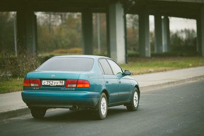 IMG_3011-l.jpg