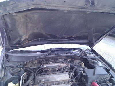 IMG_20121227_022620.jpg