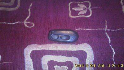 IMG0161.jpg