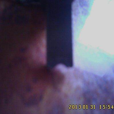 IMG0163.jpg