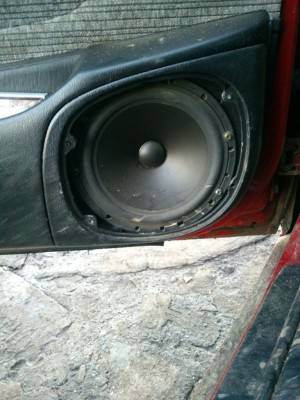 Динамик.jpg