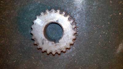 IMG_20141221_021018.jpg