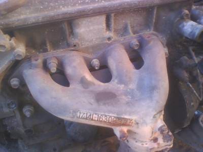 IMG0005W.jpg