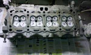 IMG_20150425_003143.jpg