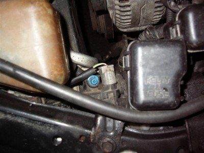 правая (Мелкий).JPG