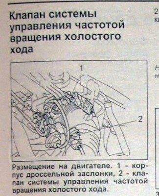 165_1.jpg