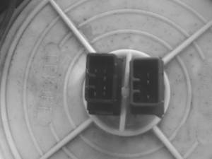 IMG0005Q.jpg